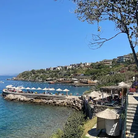 Noble Villa